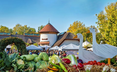 VILA VITA Genussfestival 2025 - ERWACHSENE (Regulär)